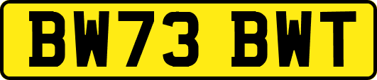 BW73BWT