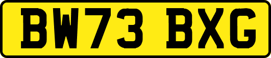 BW73BXG