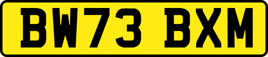 BW73BXM