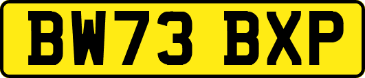 BW73BXP