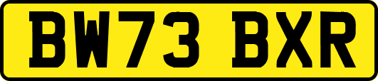 BW73BXR