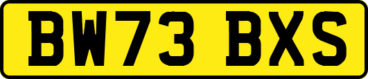 BW73BXS