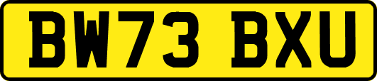 BW73BXU