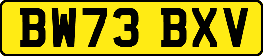 BW73BXV