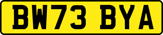 BW73BYA