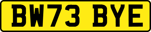 BW73BYE