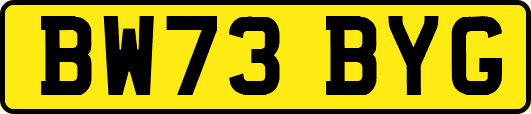 BW73BYG
