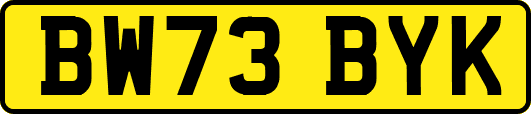 BW73BYK