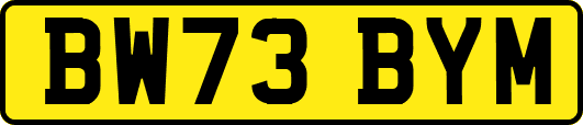 BW73BYM