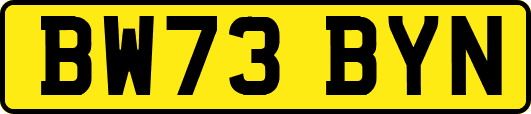 BW73BYN