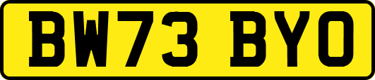 BW73BYO