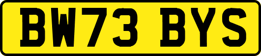 BW73BYS