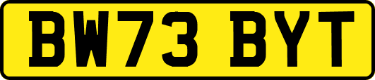 BW73BYT
