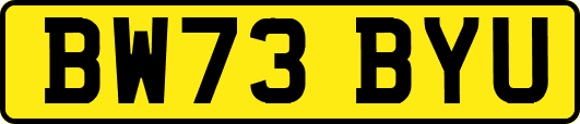 BW73BYU