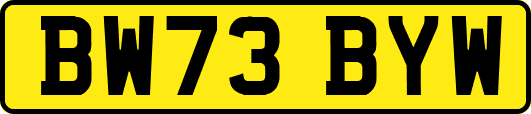 BW73BYW