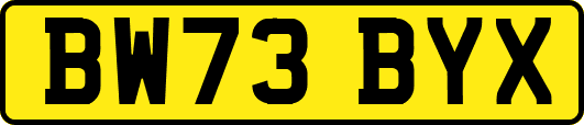 BW73BYX