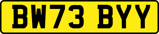 BW73BYY