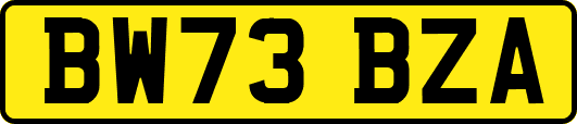 BW73BZA