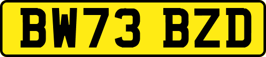 BW73BZD