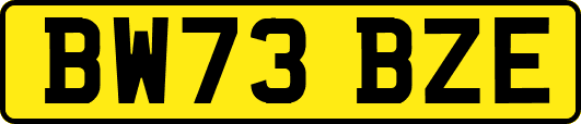 BW73BZE