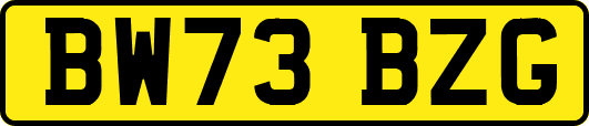 BW73BZG