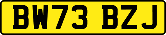BW73BZJ