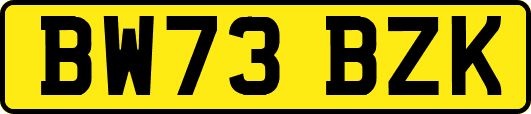 BW73BZK