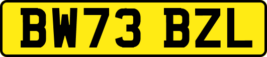 BW73BZL