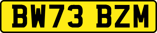 BW73BZM