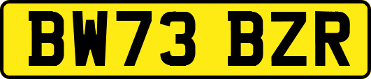 BW73BZR