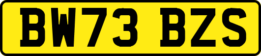 BW73BZS