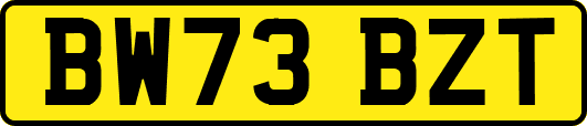 BW73BZT