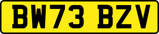 BW73BZV