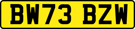 BW73BZW