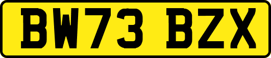 BW73BZX