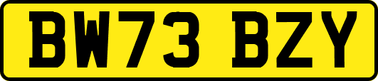 BW73BZY