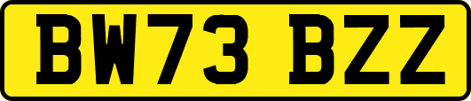 BW73BZZ
