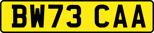 BW73CAA