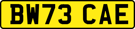 BW73CAE
