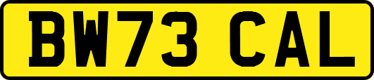 BW73CAL