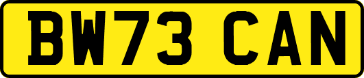 BW73CAN
