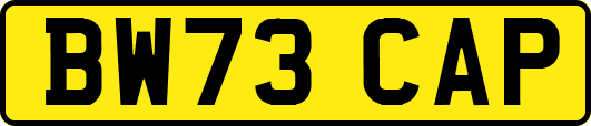 BW73CAP