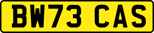 BW73CAS