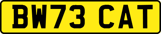 BW73CAT