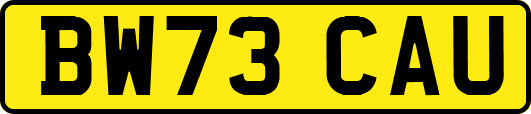 BW73CAU