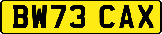 BW73CAX