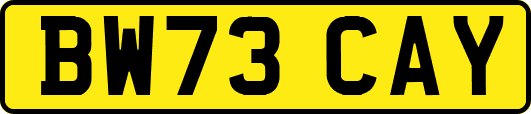 BW73CAY