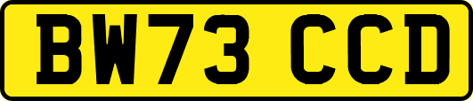 BW73CCD