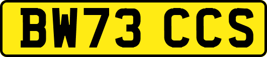 BW73CCS