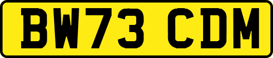 BW73CDM